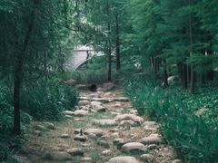 -上海浦江郊野公园-3号停车场