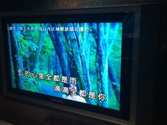 卓依婷-风中有朵雨做的云-环球梦主题KTV(曲阳生活购物中心店)