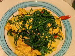 -巴依老爷新疆美食(常营店)