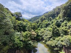 -鼎湖山风景区