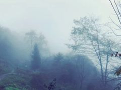 -九峰山
