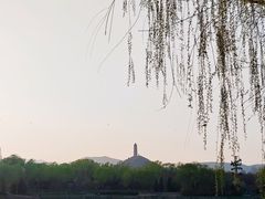 -北坞公园