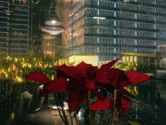 -凤凰湘语·湘粤鲜融(浦东旗舰店)