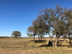 -塞罕坝国家级自然保护区