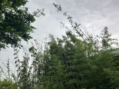 -映月湖中央公园