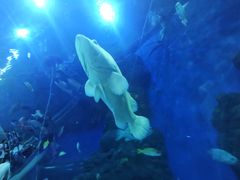 -成都浩海立方海洋公园