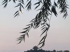 -奇帕波·披萨&炸鸡(诺和木勒站店)