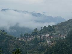 -杨家堂村