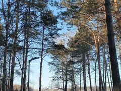 -长春净月潭风景名胜区