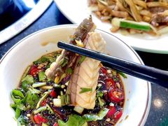 -正能量脆肉鲩火锅