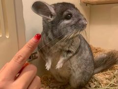 -龙猫仔乐园(惠福东路店)