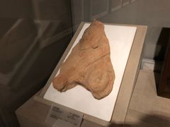 -北京大学赛克勒考古与艺术博物馆