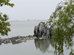 -上海吴淞炮台湾国家湿地公园