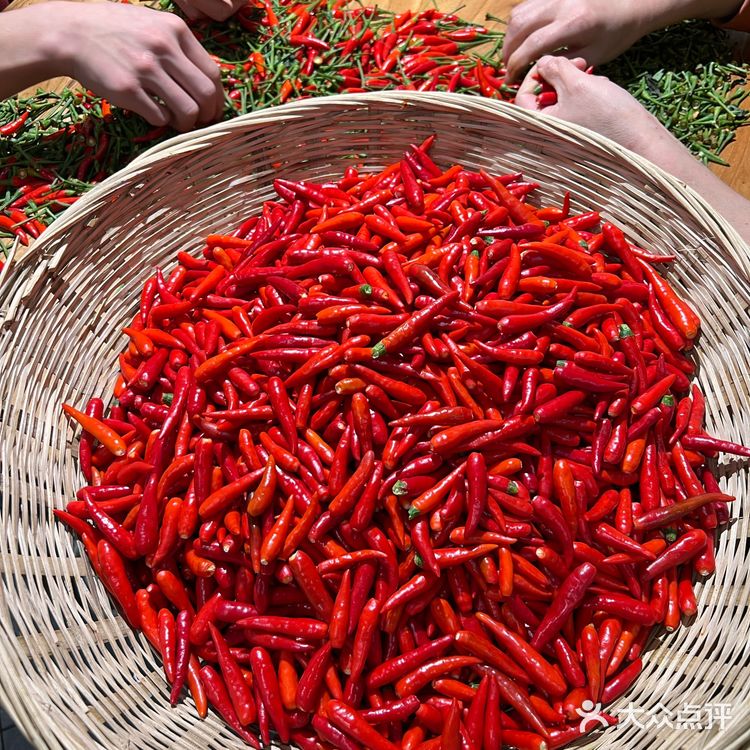 在中和!热辣自贡菜,就来熙掌柜~