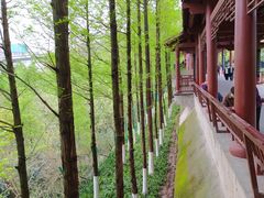 -重庆彩云湖湿地公园