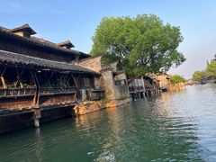 -乌镇西栅景区