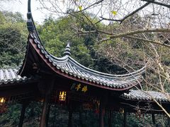 -十八棵（老龙井）御茶园(老龙井店)