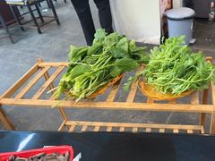 -蘑统田下·野生菌火锅