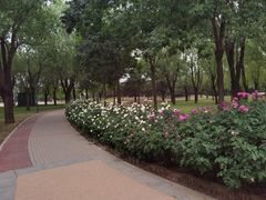 -坝河休闲公园