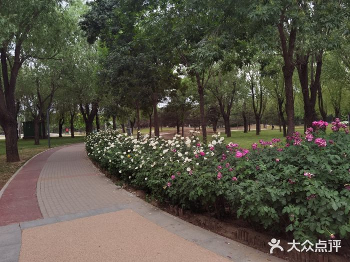 坝河休闲公园图片