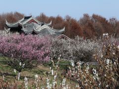 -上海海湾国家森林公园