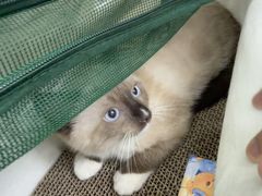 -博特宠物医院24h犬猫全科.骨科·异宠