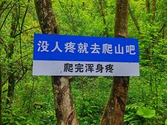 -鹿院坪生态旅游景区