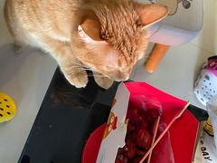 -小路易生煎馆(前进五路店)