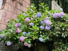 -黔灵山公园