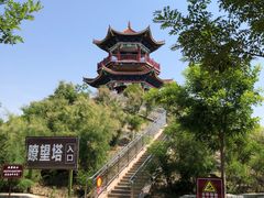 -南大港湿地风景区