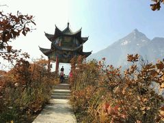 -太平万花山景区