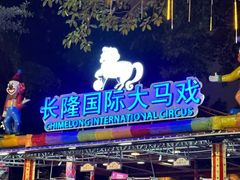 -广州长隆国际大马戏
