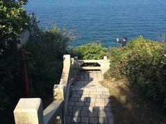 -长洲岛