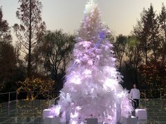 -杭州西子湖四季酒店-WL BISTRO西湖餐厅(灵隐路店)