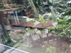 -宝生月子中心·私家园林式(龙华观澜店)