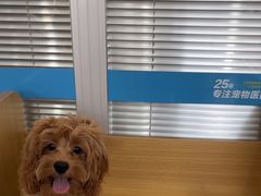 -美迦爱-牙专科·兔科·骨科诊疗中心(北苑店)