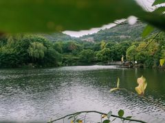 -白马涧龙池景区