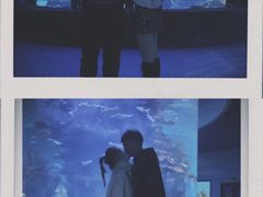 -多彩贵州城极地海洋世界