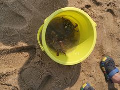 -北海金海湾红树林生态旅游区