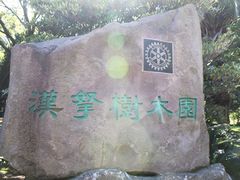 -汉拿树木园