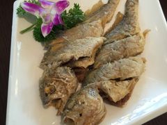 -逸林轩中餐厅(中信泰富朱家角锦江酒店)