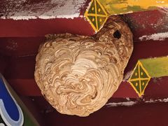 -遵化市禅林寺古银杏风景园