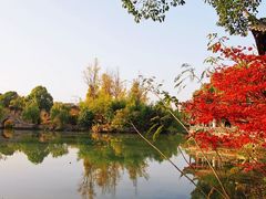 -韩湘水博园