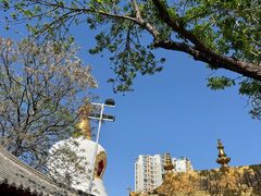 -护国法轮寺
