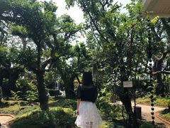 -Chom Cafe and Restaurant