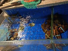 -乔家小院•本地小海鲜•非遗驴肉(万年泉路店)