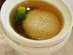 上汤参茸炖绣球-香乐园·淮扬菜中餐厅·Shang Garden(福田香格里拉店)