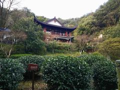 -十八棵（老龙井）御茶园(老龙井店)