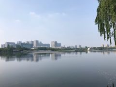 -聚龙湖公园