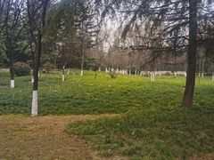 -城市运动公园(未央区)